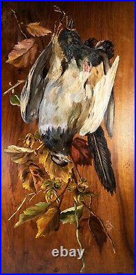 Antique French Oil Painting on Board, Nature Still Life w 2 Birds, Artist Signed